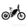 SS30 3/5/8 kW 12 kW Elektromotorbike Aluminiumrahmen E-Bike